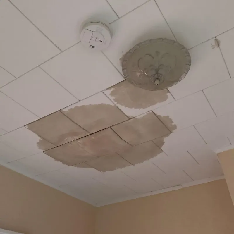 Ceiling Water Damage Repair in Sublette, KS