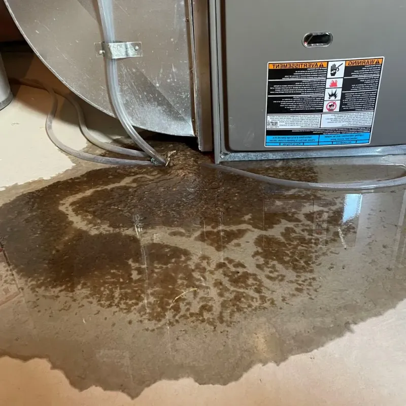 Pipe Burst and Leak Restoration in Sublette, KS