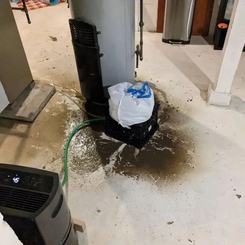 Sewage Backup Cleanup Service in Sublette, KS